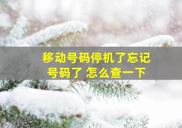 移动号码停机了忘记号码了 怎么查一下